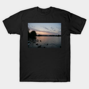 Swans and Sunset at Windsor T-Shirt